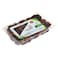 Al-Qassim Vacuum Dates - 900 gm
