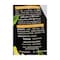 Free Go Basil Seed Drink Beach - 290ml