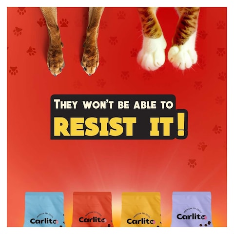 Carlito Adult Dog Dry Food - 1.5Kg