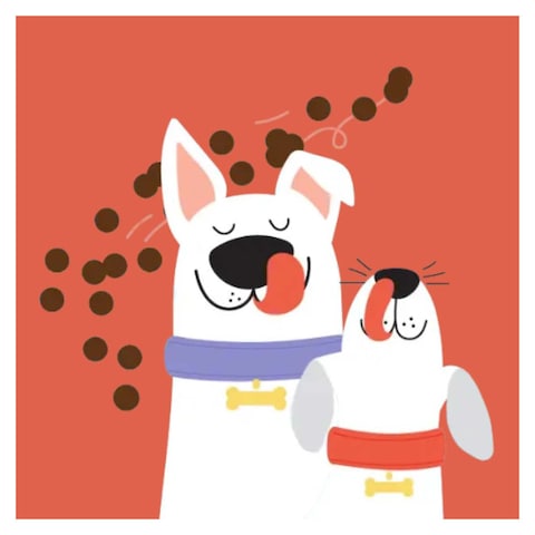 Carlito Adult Dog Dry Food - 1.5Kg