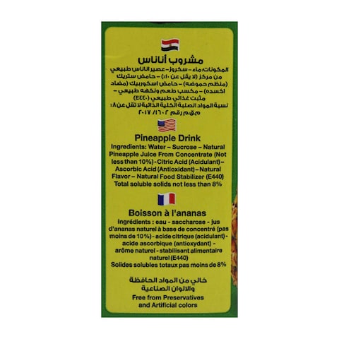 عصير اناناس اصلان - 235 مل