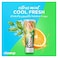 Closeup White Fresh Toothpaste Citrus Mint - 75ml + Toothbrush