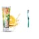 Closeup White Fresh Toothpaste Citrus Mint - 75ml + Toothbrush