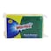 Waritex Scrub Sponge