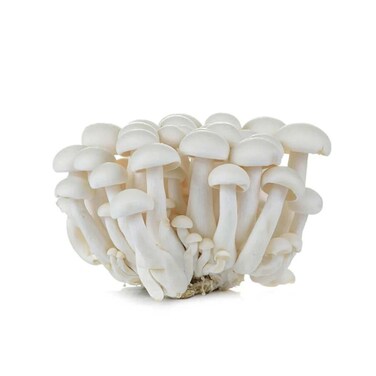 مشروم شيميجي الأبيض هايجين