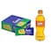 Latto Classic Wafer with Mango Cream 35 gm - 12 Pieces + Fanta Orange Soft Drink - 300 ml