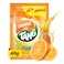 Tang Orange Flavor Powder Beverage - 40 gm
