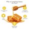 Langnese Pure Bee Honey - 500gm