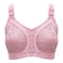 Lasso Aroma Bra Cup C - Size 42 - Rose