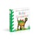 Baby Touch and Feel Baby Dinosaur Book