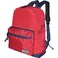 Iconz Laptop Backpack 15.6-inch - Red