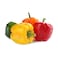 CAPSICUM MIX 500 NET