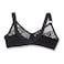 Lasso Cotton Lace Bra - Black - B6