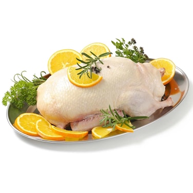 بط طازج