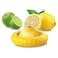 Pedrini Lemon Fridge Keeper - 18 Pieces