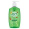 Joy Of Nature Hand Wash Green Tea and Jojoba - 450ml