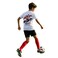 CLP-FIFA WORLD CUP EGYPT 8Y