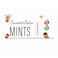 Sweet &amp; Slim Sugar Free Mints with Cinnamon Flavor - 32 gram