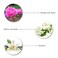 Enchanteur Romantic Daily Perfume for Women - 100 ml