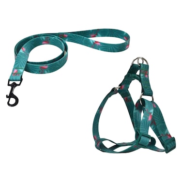 Naomi Harness and Leash Set - 2.5 x 120 cm