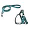 Naomi Harness and Leash Set - 2.5 x 120 cm