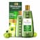 Herbs India Amla &amp; 7 Seeds Hair Oil - 275ml