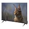 JAC 43-Inch Full HD LED TV - 43JE3120FM