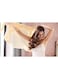 Philips 3000 Series BHA305/00 Ceramic and Keratin Coating Ceramic Ionic Function Fan Brush 3 Accessories