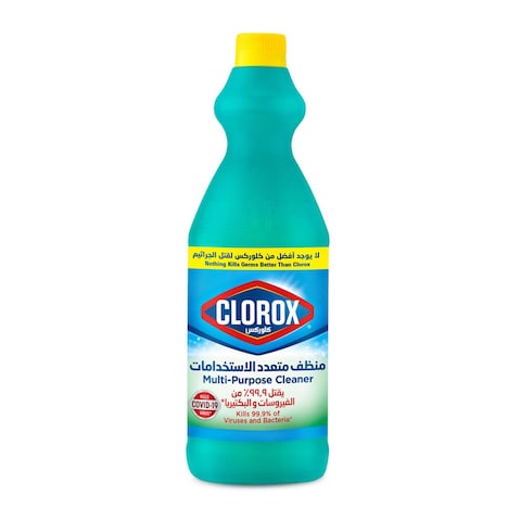 Clorox Multipurpose Cleaner - 1 Liter