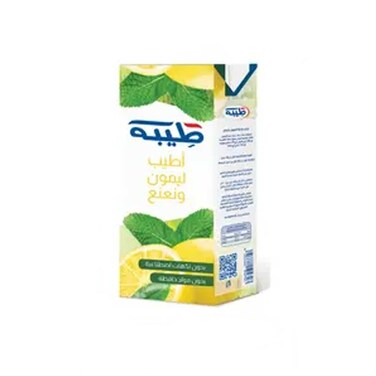 Teeba Lemon And Mint Juice 235 Ml