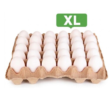 Jordan Bawadi Eggs XL 30 Egg