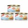 Alltasty White Tuna In Water 170 Gram 3 Pieces