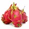 Dragon Fruit 