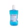 Active Fluoride Protection Mouthrinse Soft Mint 750Ml