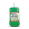 Active Mouthrinse Green Mint 750Ml