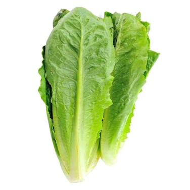 Lettuce Cos Loose 1pc