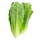 Lettuce Cos Loose 1pc