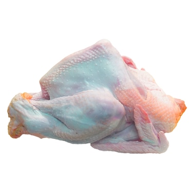Turkey 4-6 Kg Piece