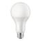 Safelite LED Bulb 7W B22 Day Light