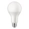 Safelite LED Bulb 7W B22 Day Light
