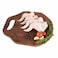 Farmer Max Wings 600g