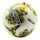Connate Footbal Galop Pvc2 F731N14