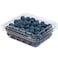 Blueberry Imported 125G