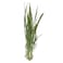 Lemon Grass 200g