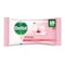 Dettol Antibacterial Wet Wipes 10S Skincare