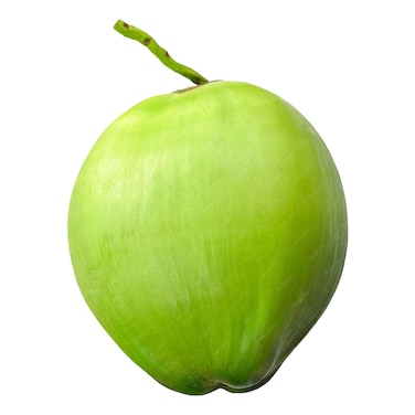 Coconut Fresh 1pcs