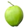 Coconut Fresh 1pcs