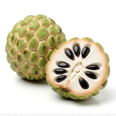 Custard Apple 1pc