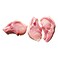 Fresh Pork Loin Chops Bone In