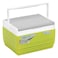 Pinnacle Eskimo Cooler Box 11l